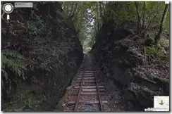 yakushima1