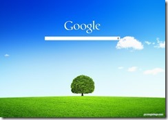 customgoogle7