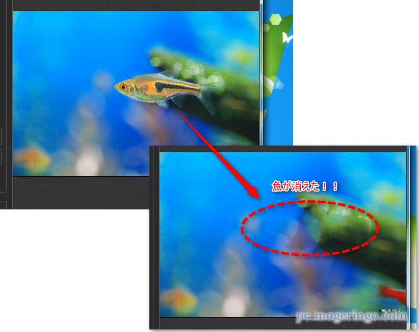 コレ凄いぞ 写真から不要な物を消すことができるソフト Inpaint Pcあれこれ探索