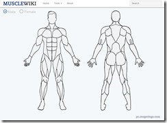 musclewiki1