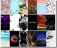 wallpapergallery5