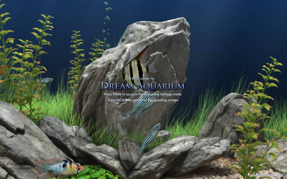 美しすぎるスクリーンセーバ リアルすぎるアクアリウムを楽しめるスクリーンセーバー Dream Aquarium Free Pcあれこれ探索