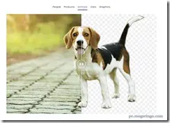 backgroundremover1