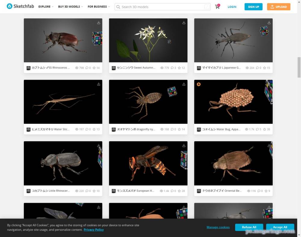 1400点以上の生き物や植物のリアルな3Dモデルが見れる「九州大学 3Dデジタル生物標本」