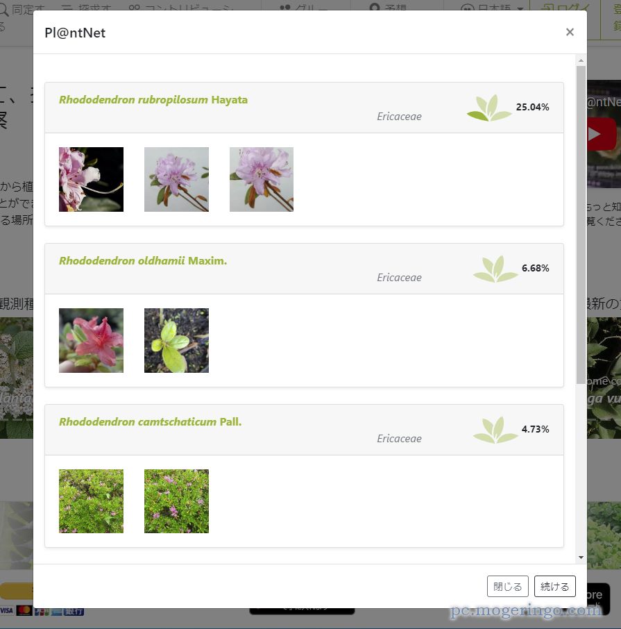 桜ってバラ科だったの?! 写真に写っている植物を調べてくれるWebサービス 『Pl@ntNet』
