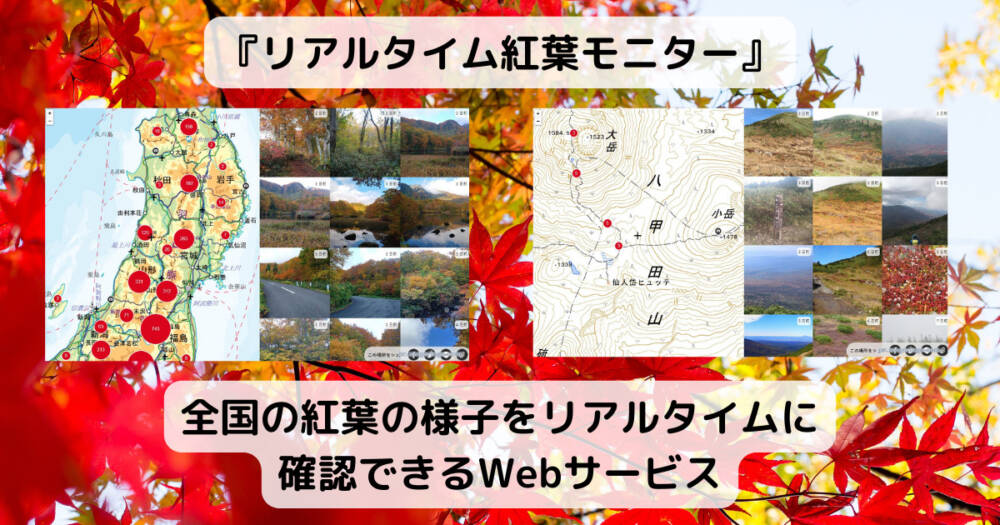 全国の紅葉の様子をリアルタイムに確認できるWebサービス 『リアルタイム紅葉モニター』