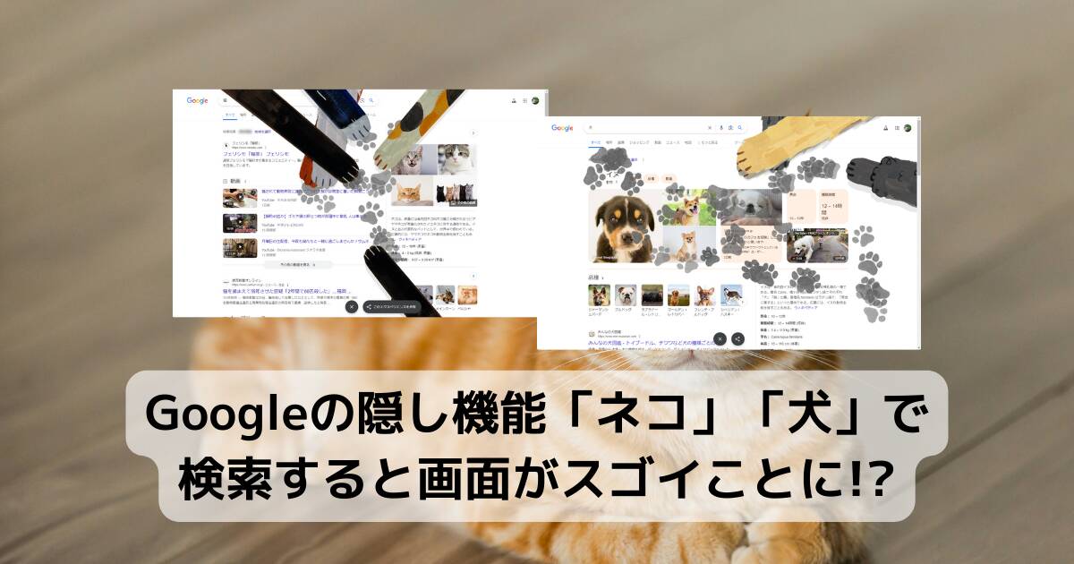 【Tips】Googleの隠し機能「ネコ」「犬」で検索すると画面がスゴイことに!?