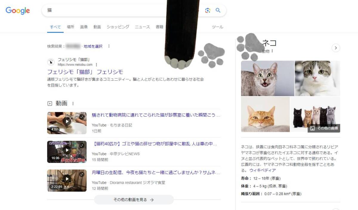 【Tips】Googleの隠し機能「ネコ」「犬」で検索すると画面がスゴイことに!?