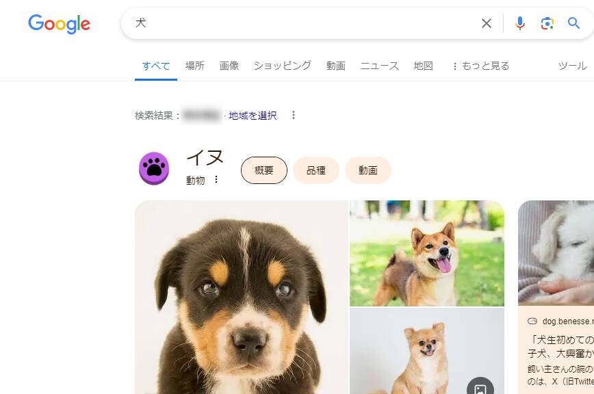 【Tips】Googleの隠し機能「ネコ」「犬」で検索すると画面がスゴイことに!?