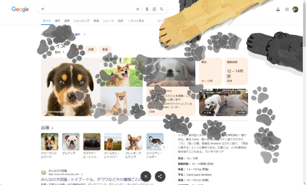 【Tips】Googleの隠し機能「ネコ」「犬」で検索すると画面がスゴイことに!?