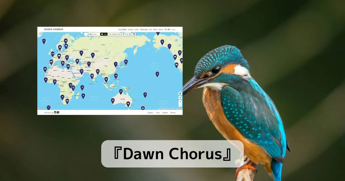 早朝の鳥の鳴き声で癒されるWebサービス 『Dawn Chorus』