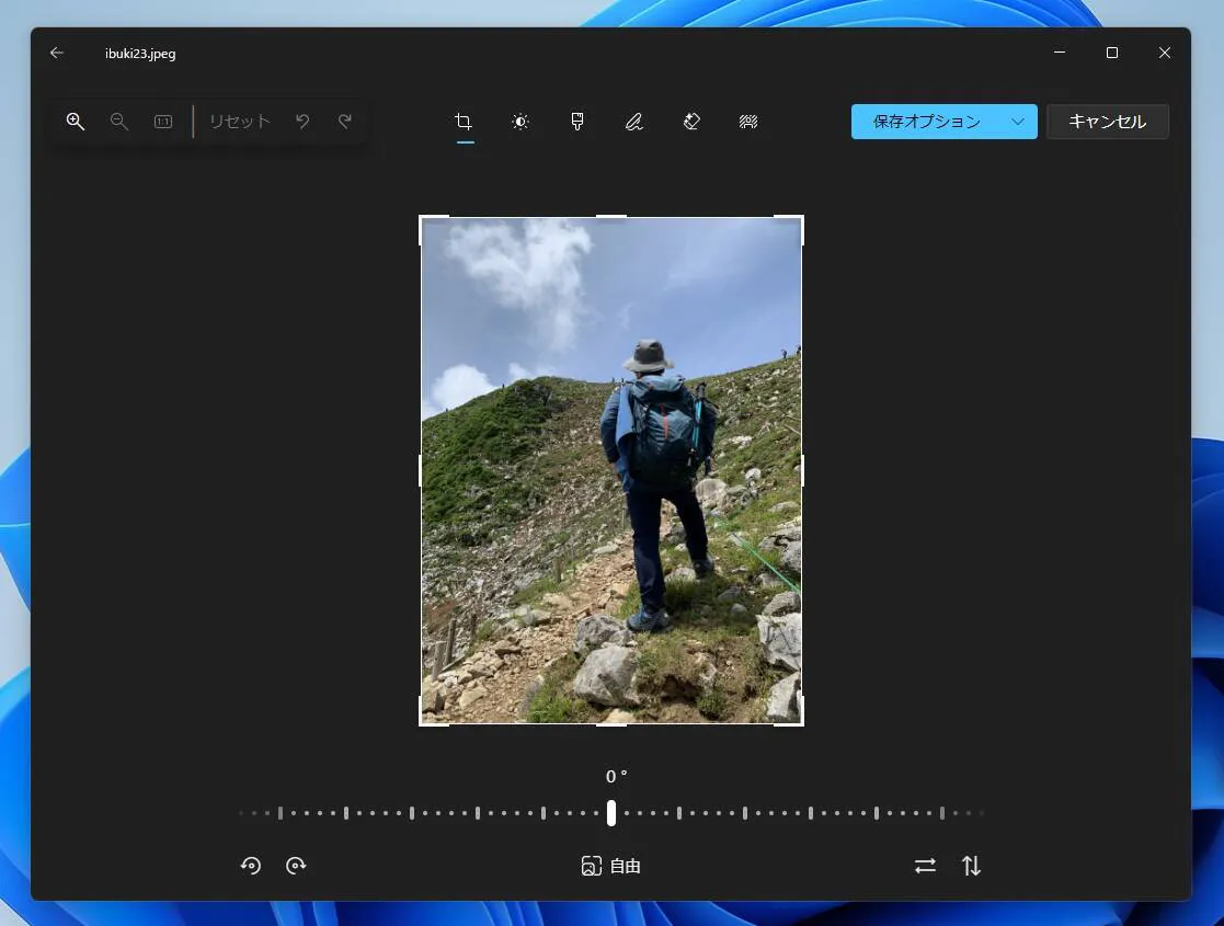 Tips】Windows標準の「フォト」で簡単に消しゴムマジック、背景除去が