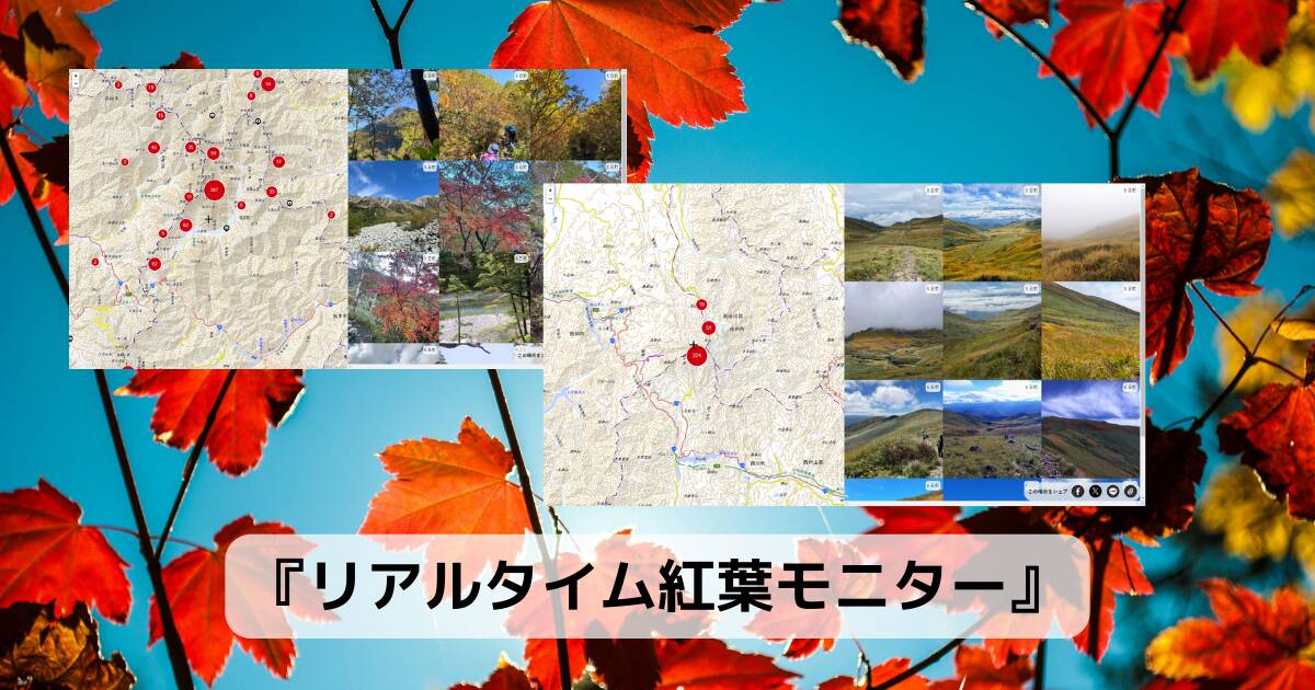 秋の旅行に!! 全国の紅葉の様子がリアルタイムに分かるWebサービス 『リアルタイム紅葉モニター』