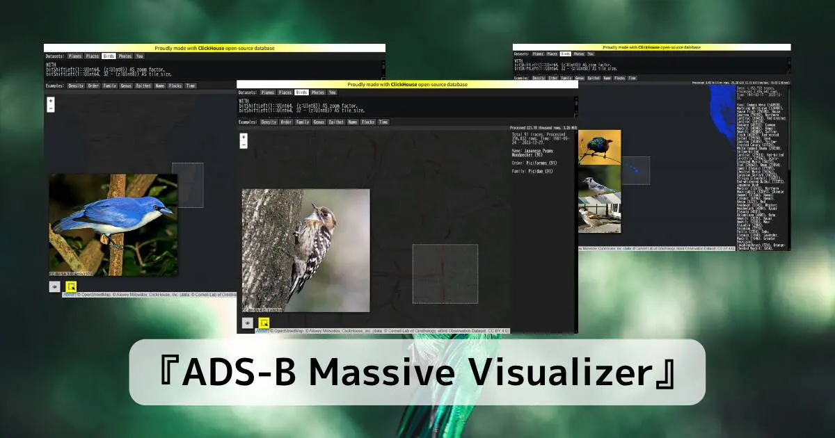 世界中の野鳥が見れる15億件もの膨大なデータが閲覧可能なWebサービス 『ADS-B Massive Visualizer』