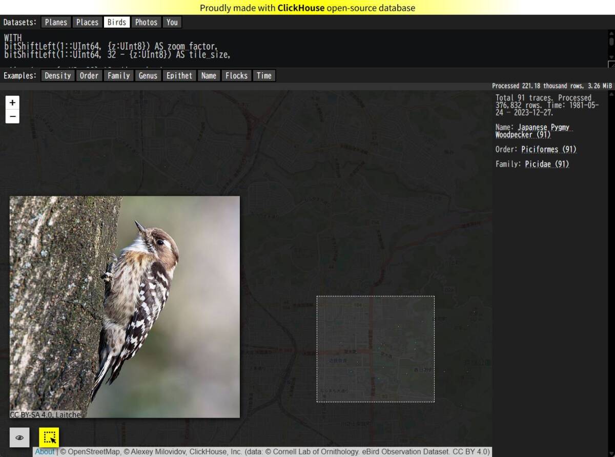 世界中の野鳥が見れる15億件もの膨大なデータが閲覧可能なWebサービス 『ADS-B Massive Visualizer』