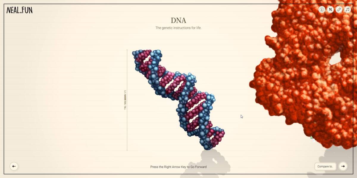 命のサイズを体験できるインタラクティブWeb『Size of Life』