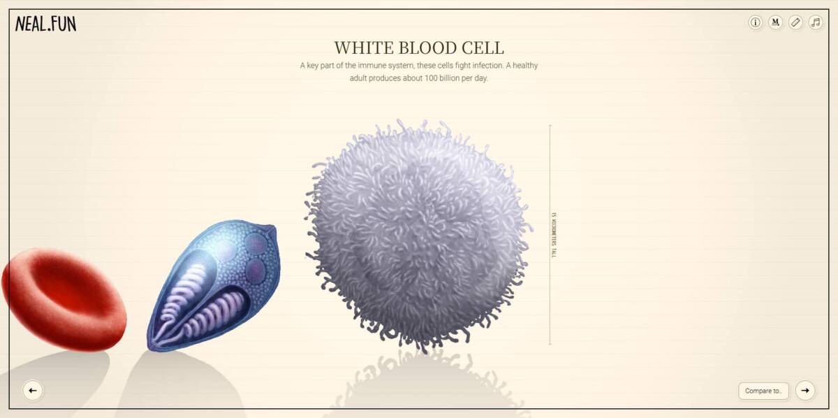 命のサイズを体験できるインタラクティブWeb『Size of Life』