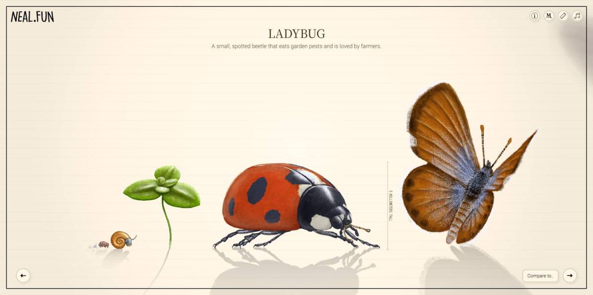 命のサイズを体験できるインタラクティブWeb『Size of Life』